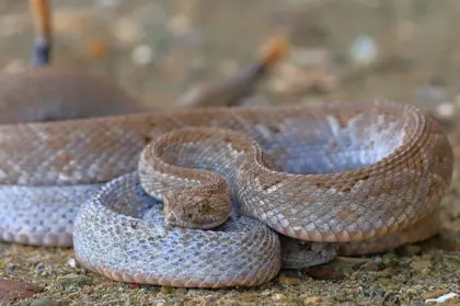 329181890_1446623089440969_4287273644930783378_n